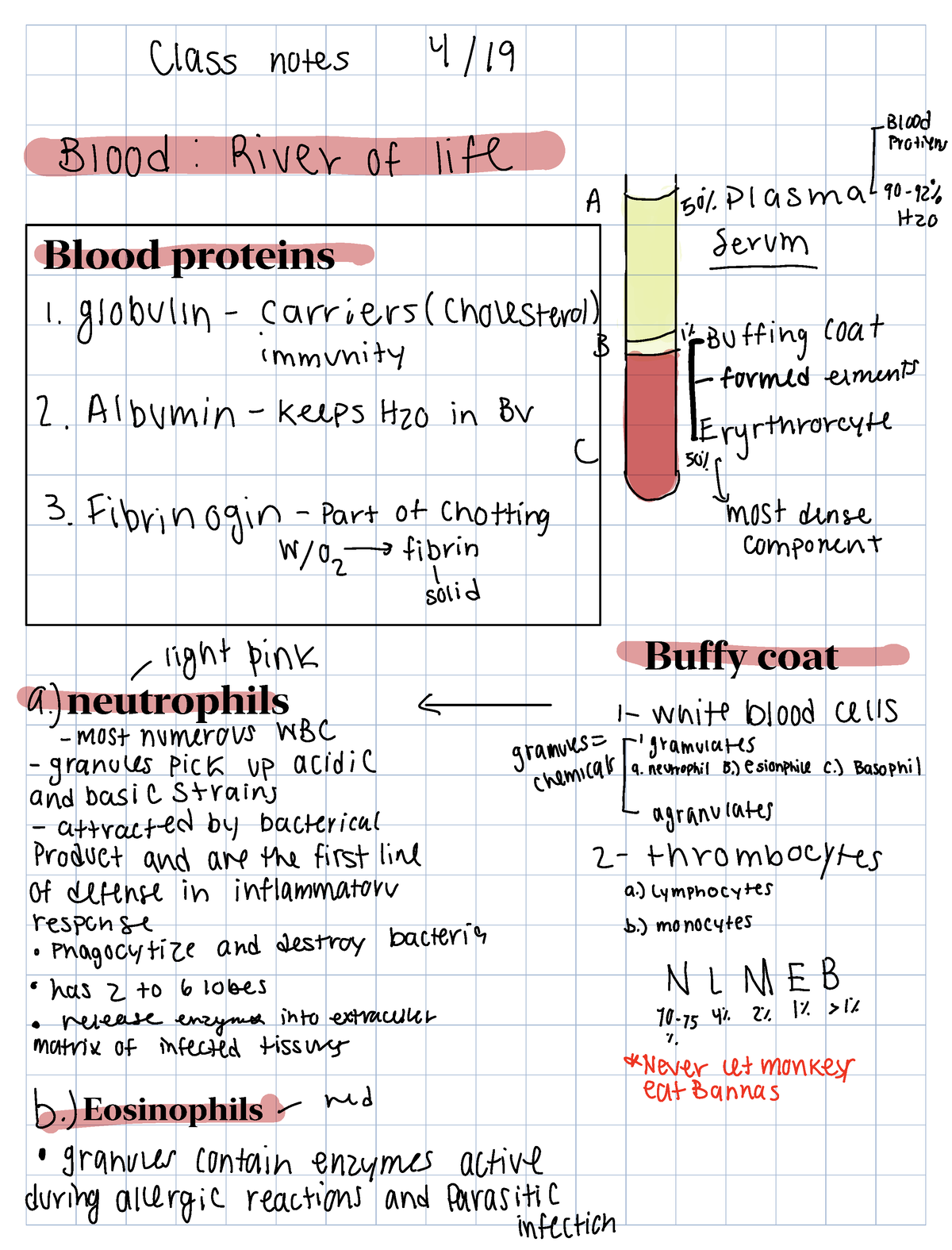 Blood notes - Class notes 419 131 4 Blood River of life A got Plasma 99 ...