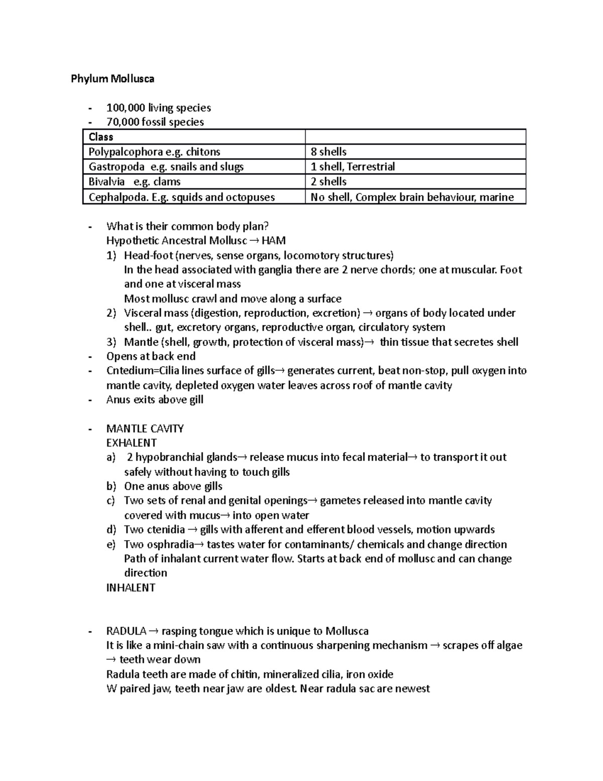 Phylum Mollusca notes and summary - Phylum Mollusca - 100,000 living ...