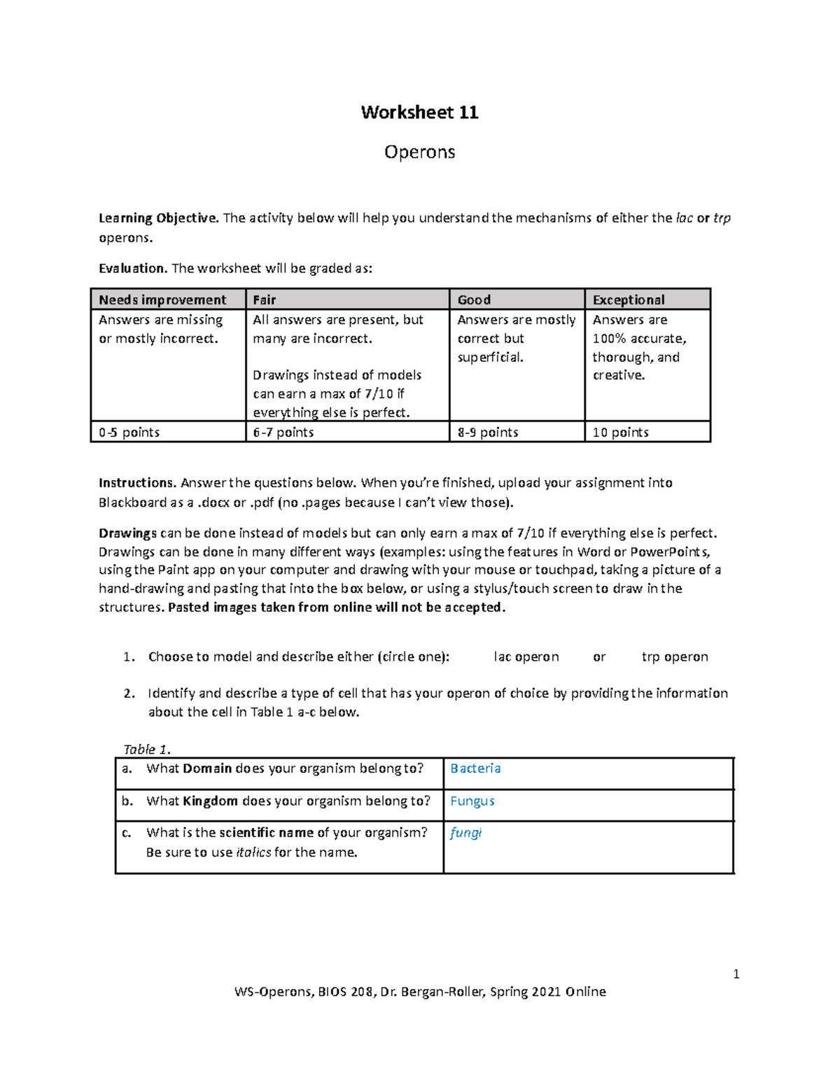 Worksheet 11-Operons - Worksheet 11 Operons Learning Objective. The ...