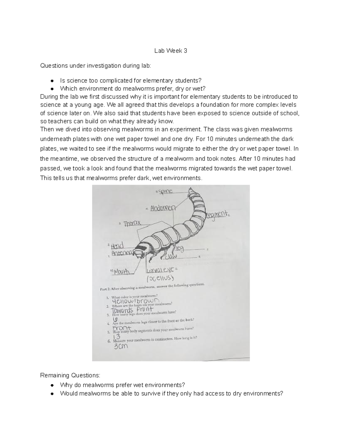 Lab Week 3 Mealworm lecture notes Lab Week 3 Questions under