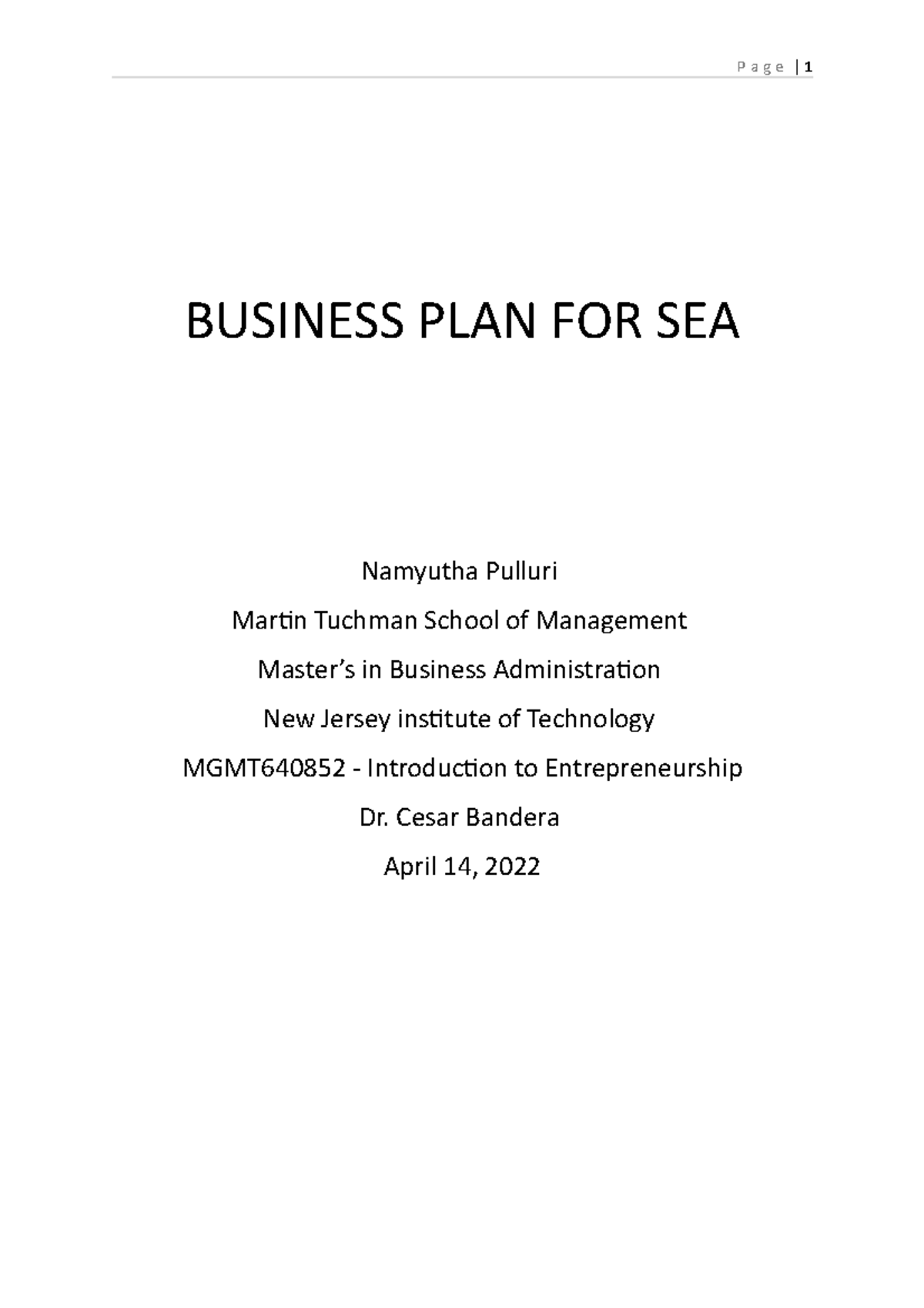 Business Plan for SEA - Studocu