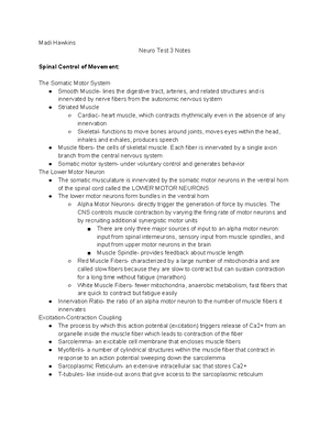 Neuro exam 2 - review notes (based off ppt) - 10.5 - exam 2 slide notes ...