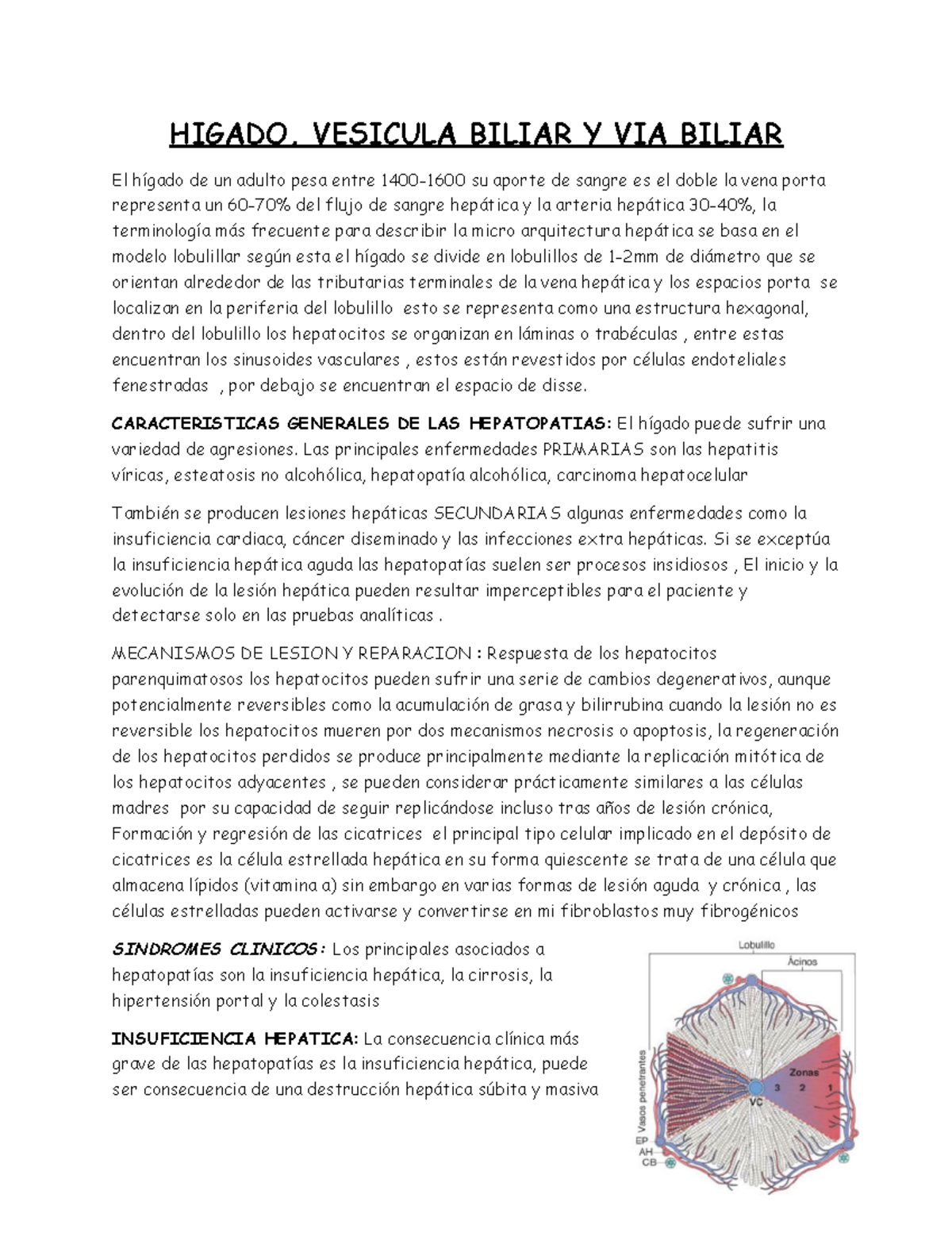 ¿la hipertensión portal es potencialmente mortal? ¿la hipertensión portal es potencialmente mortal?