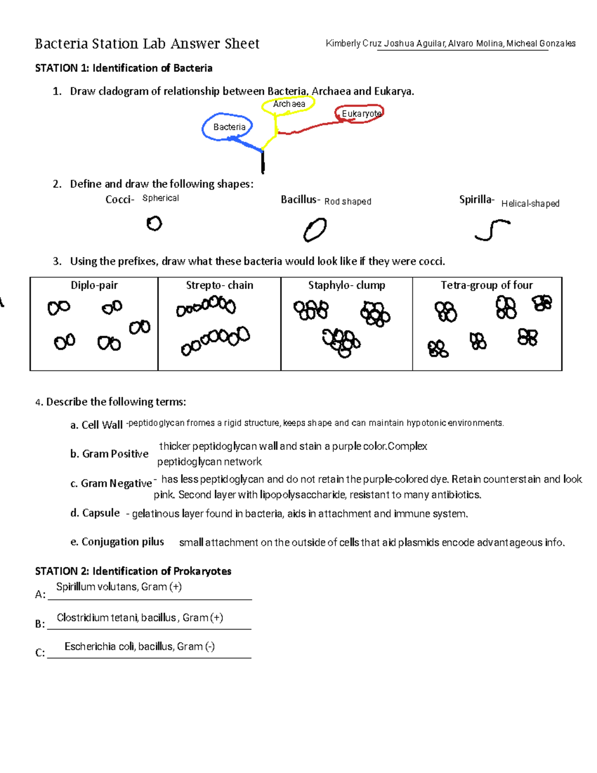 kami-export-station-lab-answer-sheet-bacteria-station-lab-answer