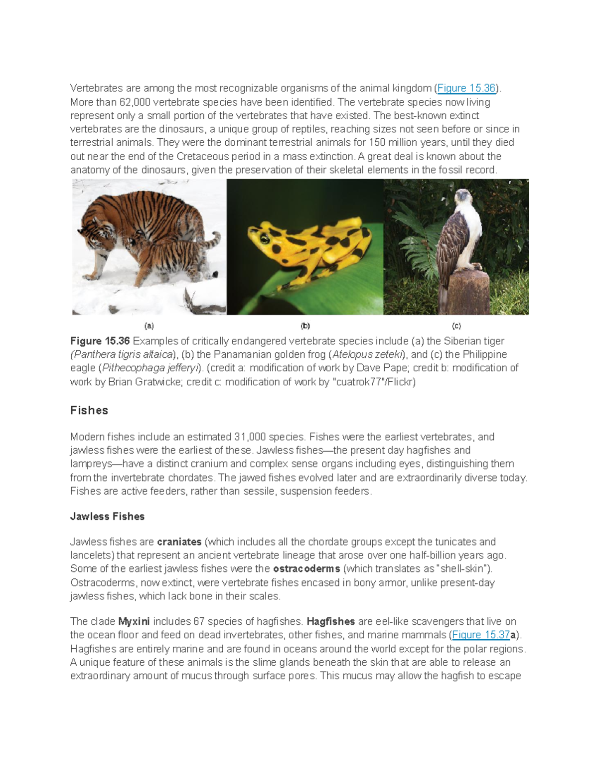 Vertebrates - notes - Vertebrates are among the most recognizable ...