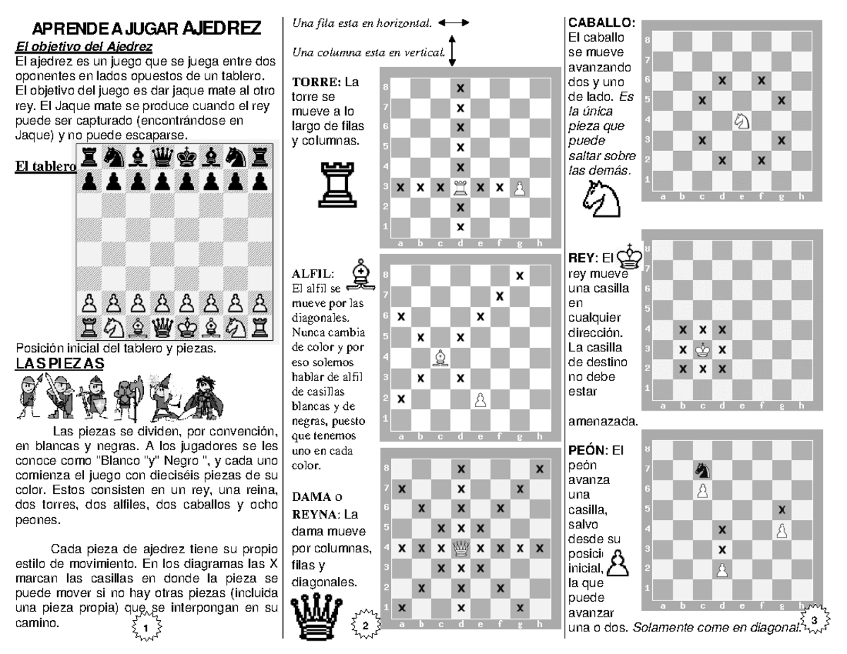 Conceptos básicos de ajedrez - APRENDE A JUGAR AJEDREZ El objetivo del