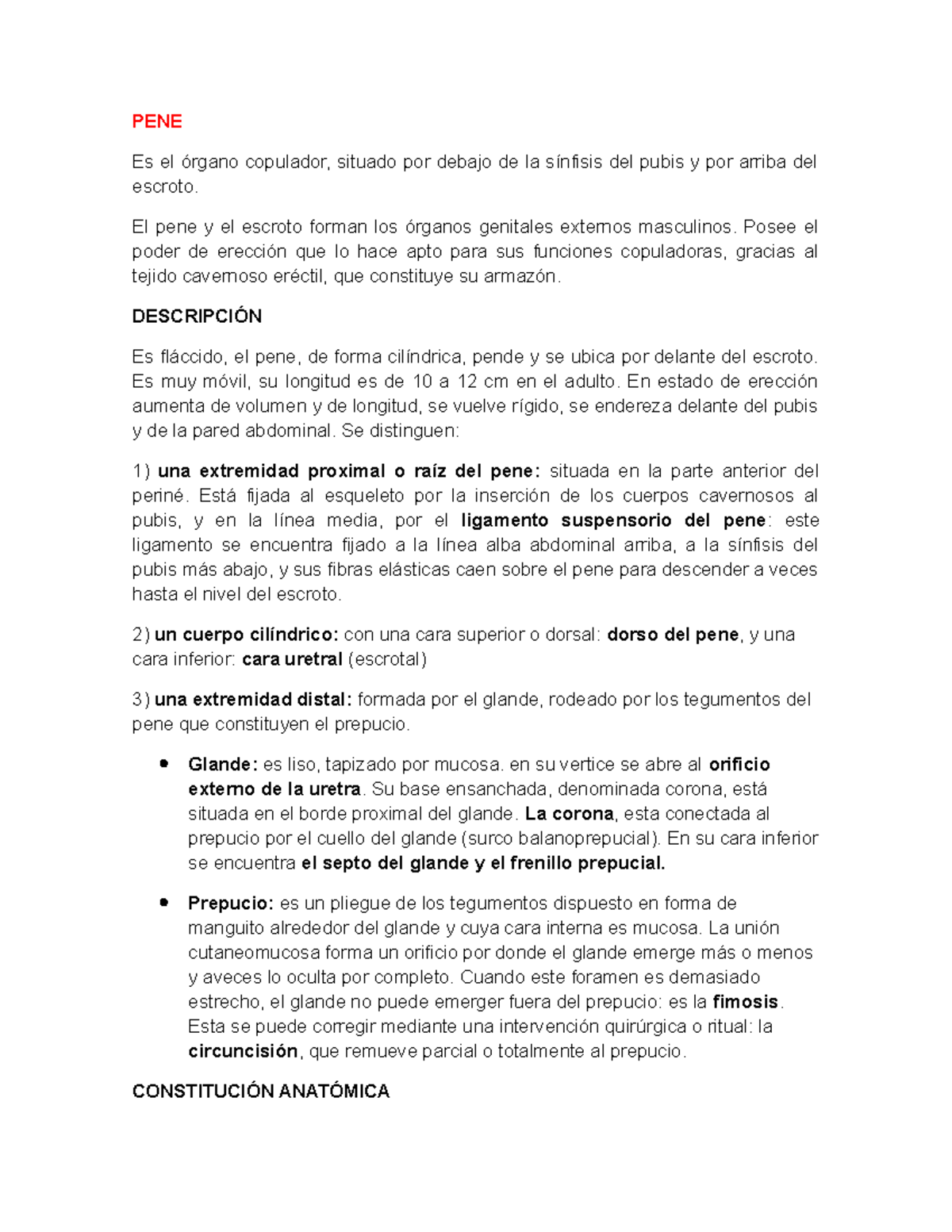 en erección mi pene permanece más estrecho en la base en erección mi pene permanece más estrecho en la base