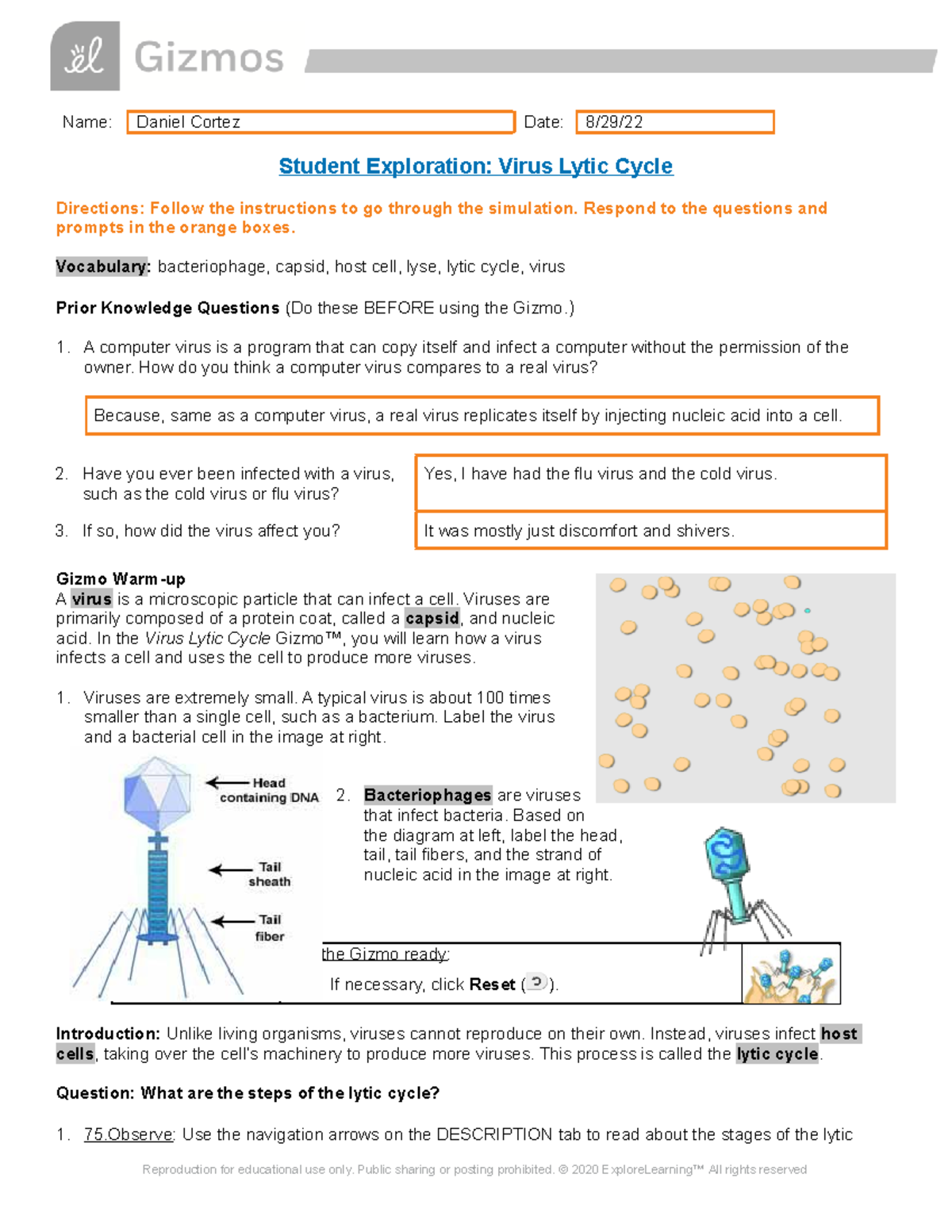 Virus Lytic Cycle SE Name Daniel Cortez Date 8 29 Student 