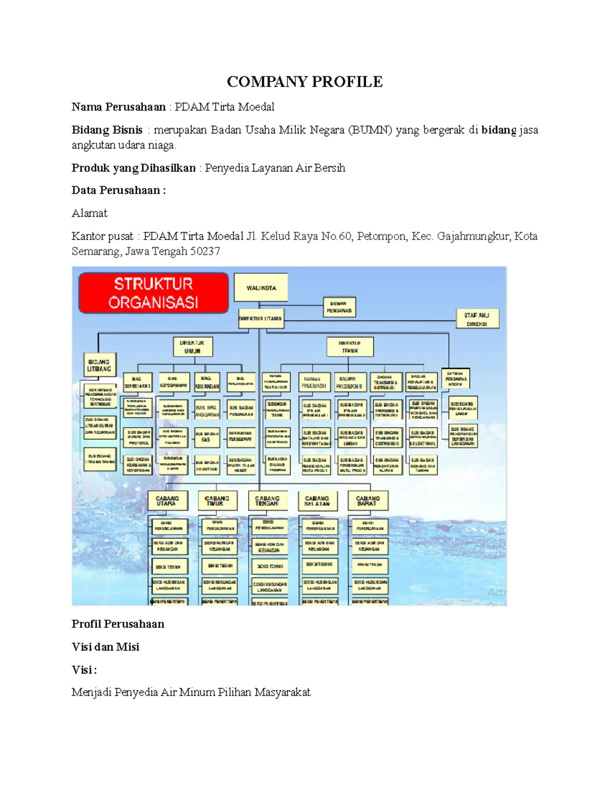 Company Profile - COMPANY PROFILE Nama Perusahaan : PDAM Tirta Moedal ...