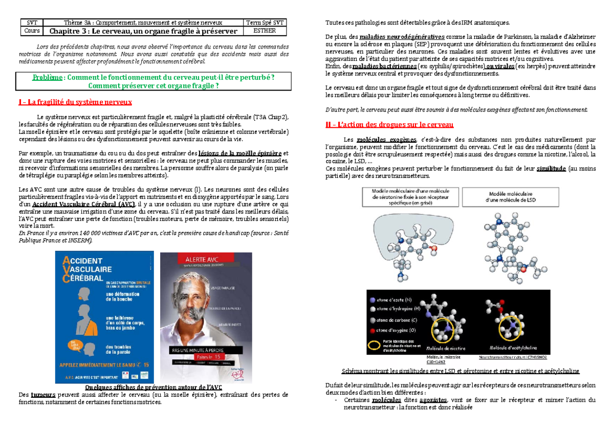 TSpe T3A3 Cours 2 - SVT Thème 3A : Comportement, mouvement et système ...