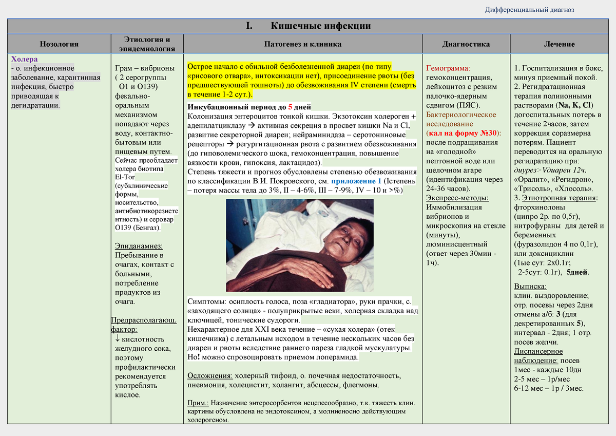 Инфекции - I. Кишечные инфекции Нозология Этиология и эпидемиология  Патогенез и клиника Диагностика - Studocu