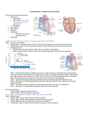 Med Surg 2 All Exam Questions - Med Surg 2 All Exam Questions Exam 1, 2 ...