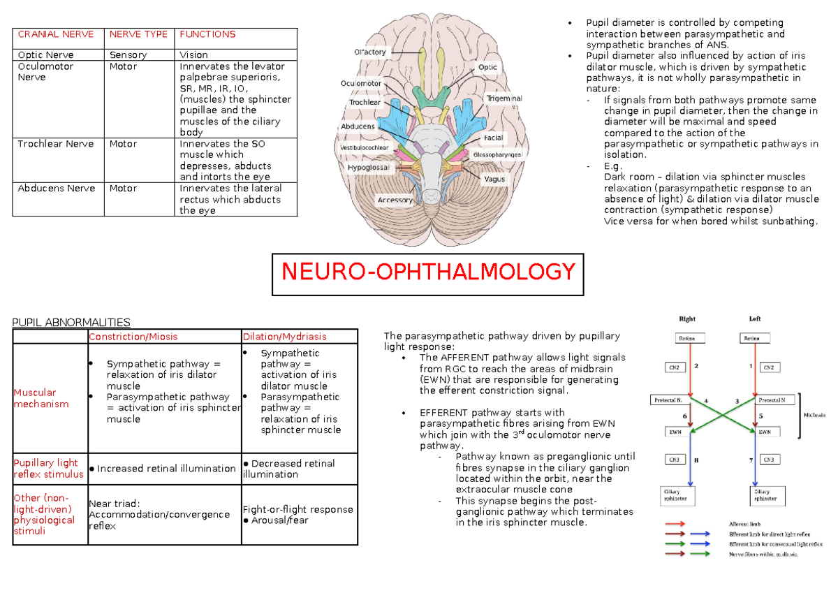 Neuro-oph - Notes - NEURO-OPHTHALMOLOGY CRANIAL NERVE NERVE TYPE ...