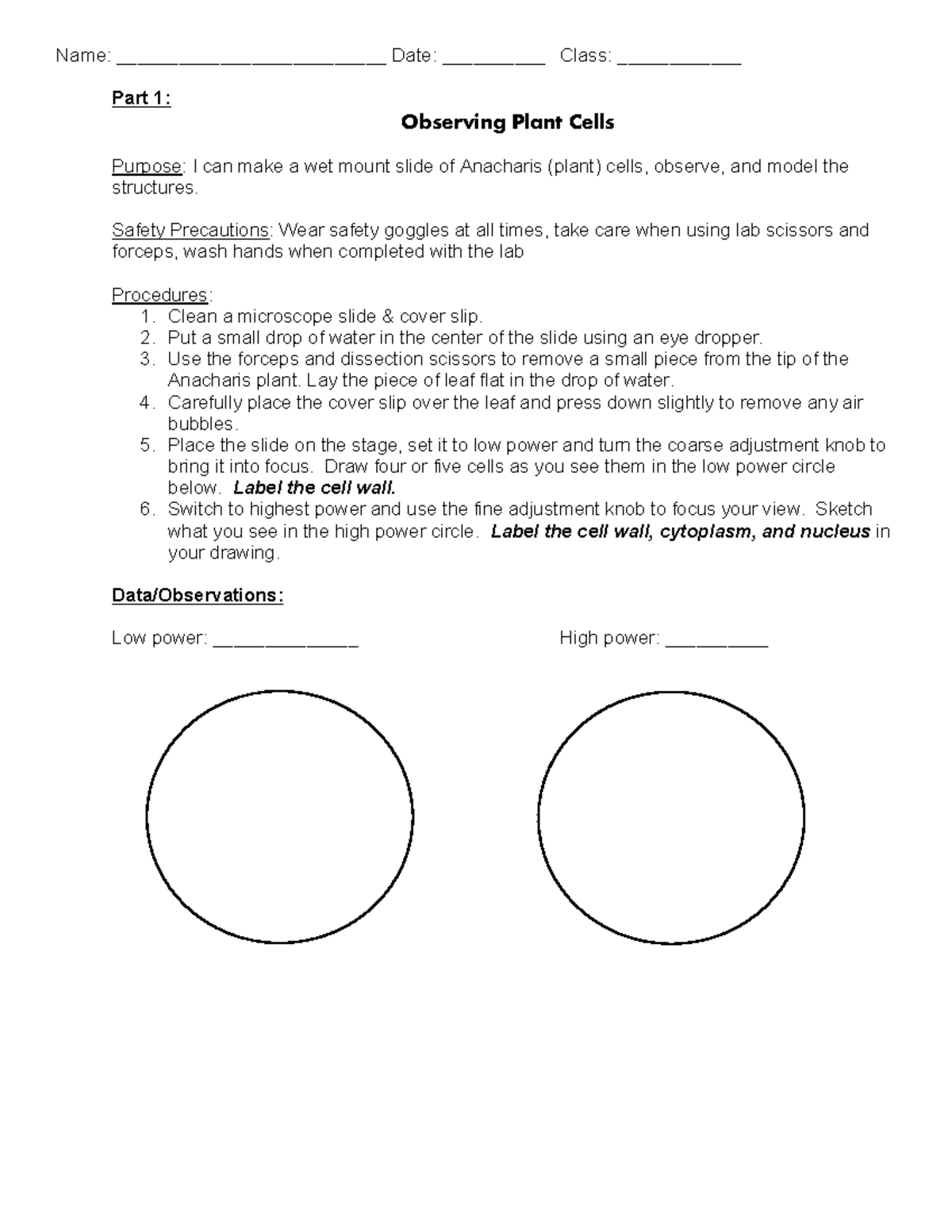Cell observation worksheet Name __________________________ Date