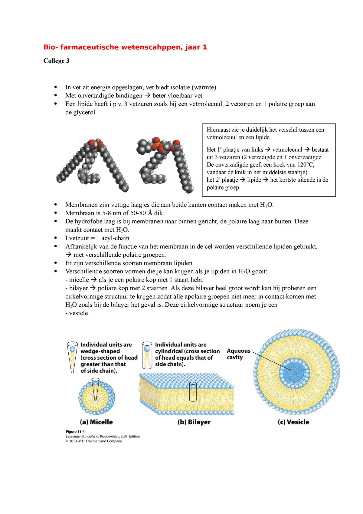 College 3 Eiwitten Samenvatting Farmaceutische Wetenscahppen Jaar 1 College 3 In Vet Zit 9381