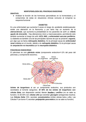 La hipófisis Apuntes 4 La hipófisis glándula pituitaria es  