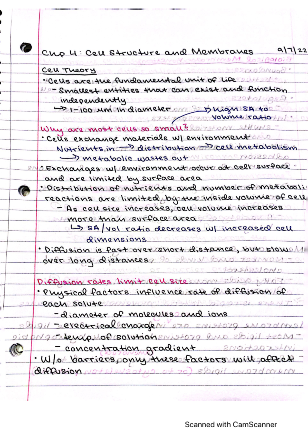 Chapter 4 notes - BIOL14110AAA - Studocu