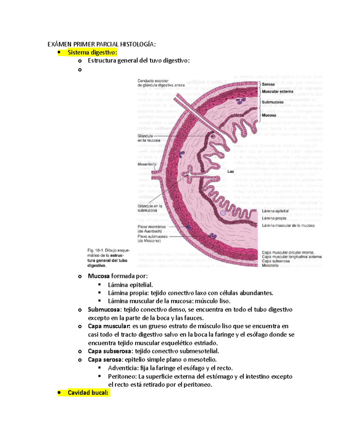 Exámen Primer Parcial Histología - EXÁMEN PRIMER PARCIAL HISTOLOGÍA ...