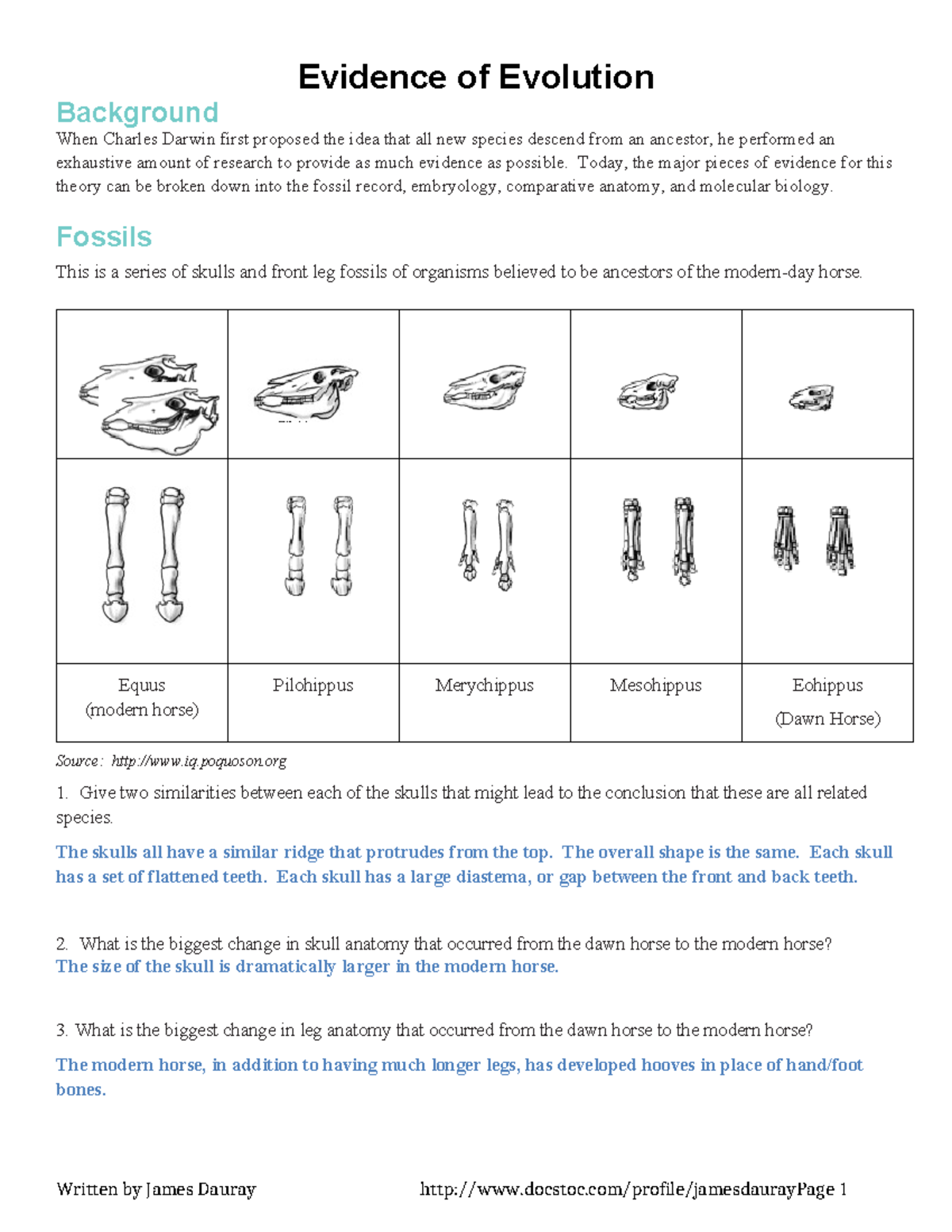 Copy of Evidence-of-Evolution-Answer-Key - Evidence of Evolution ...