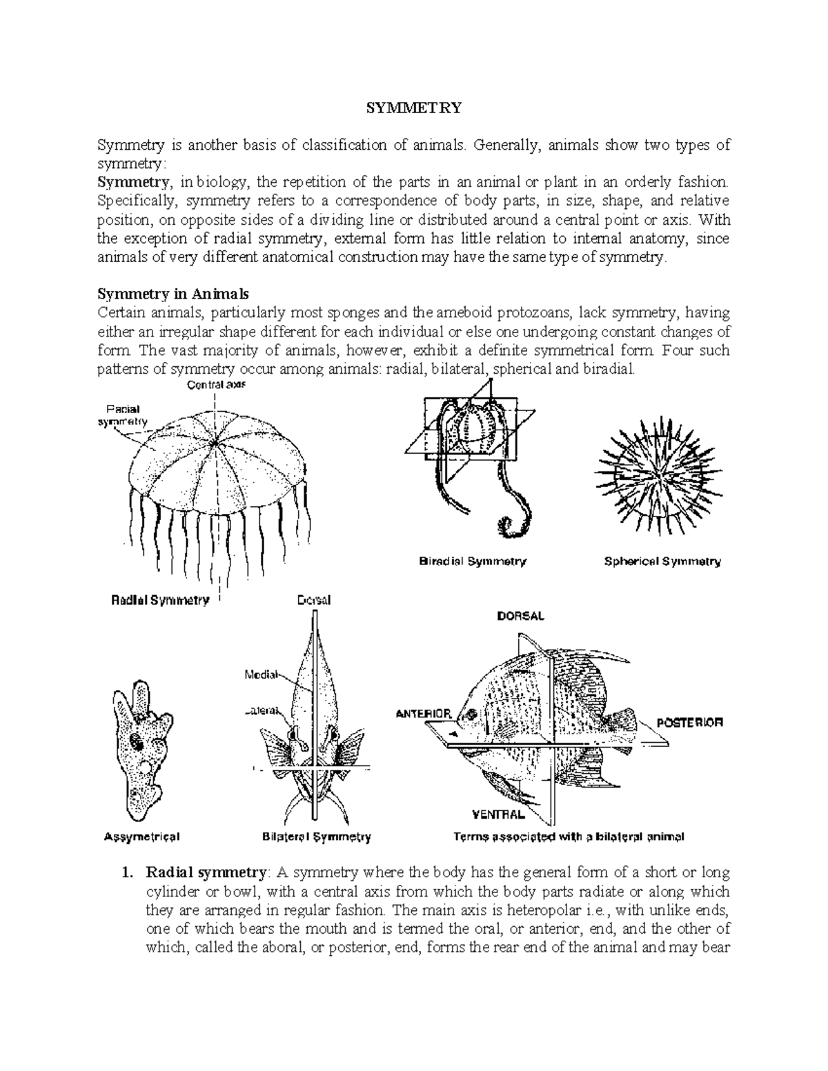 13. Symmetry - Clear notes - SYMMETRY Symmetry is another basis of ...