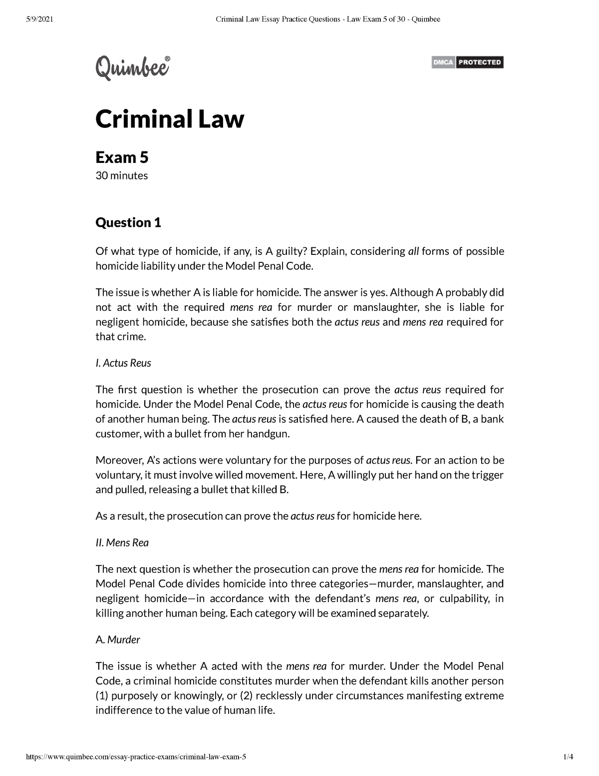 criminal law essay example