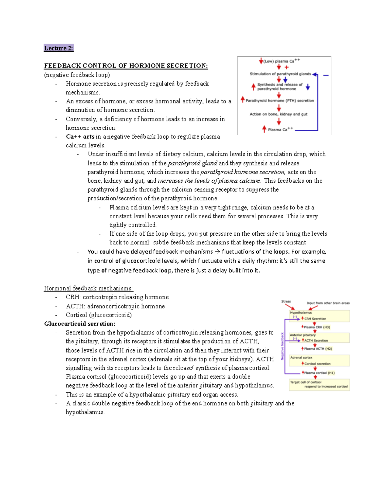 Endocrinology Part 2 Dr. White Lecture 2 FEEDBACK CONTROL OF
