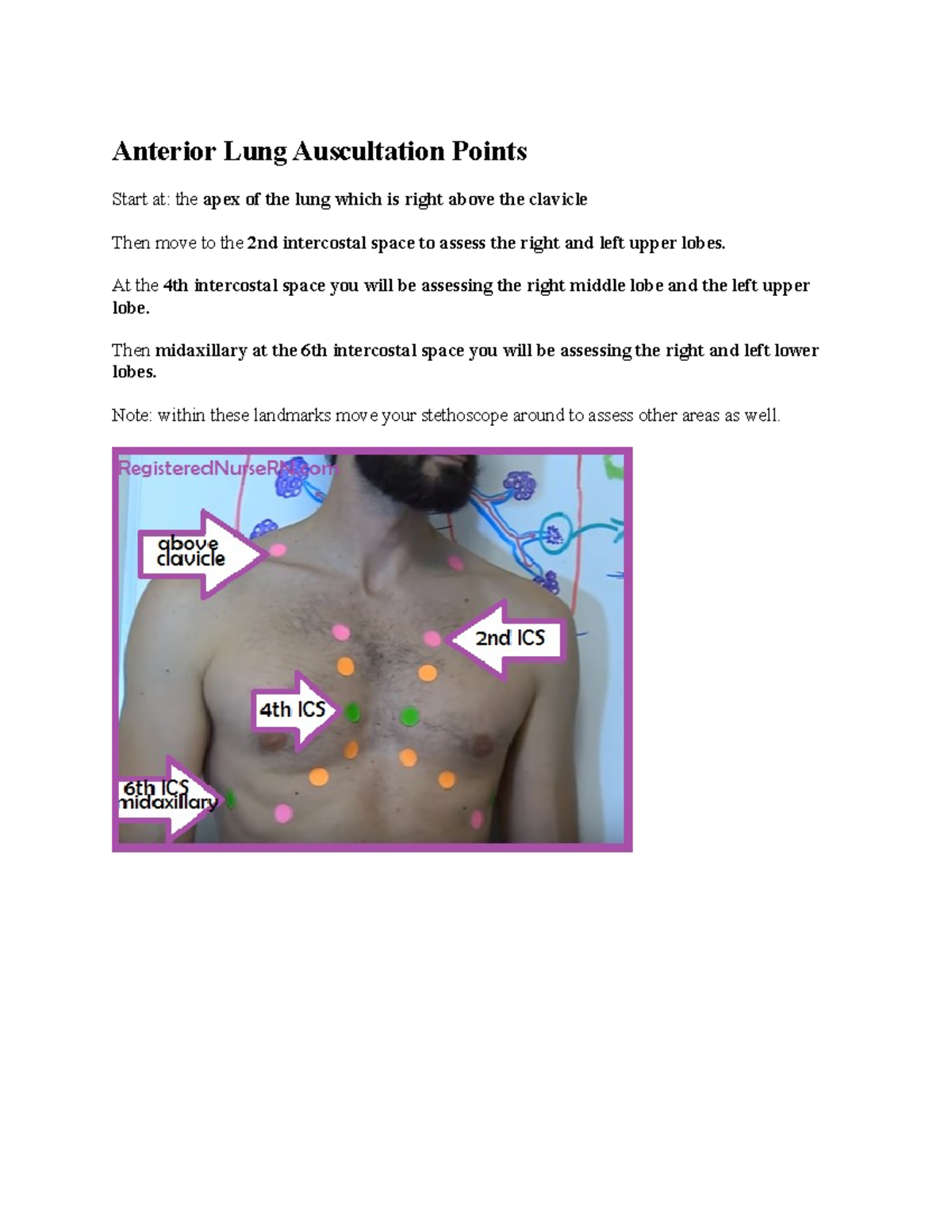 Lung Auscultation Points - Anterior Lung Auscultation Points Start at ...