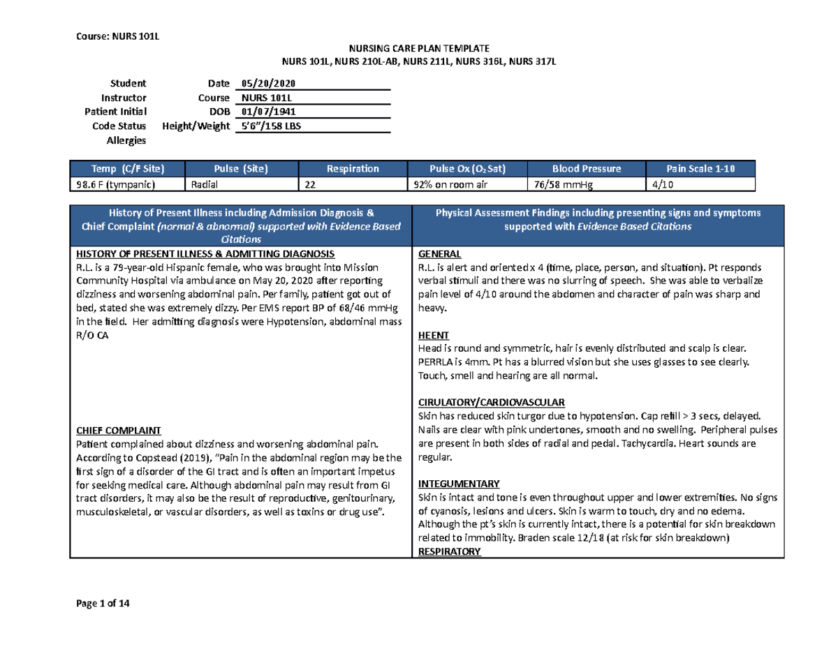 NURS 101L - Nursing Care Plan - NURSING CARE PLAN TEMPLATE NURS 101L ...