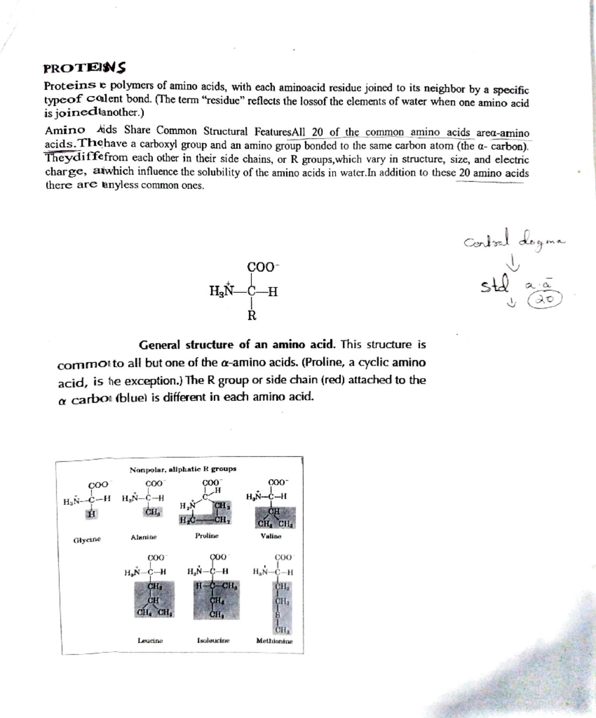 Amino acids PROTEINS Proteins e polymers of amino acids, with each