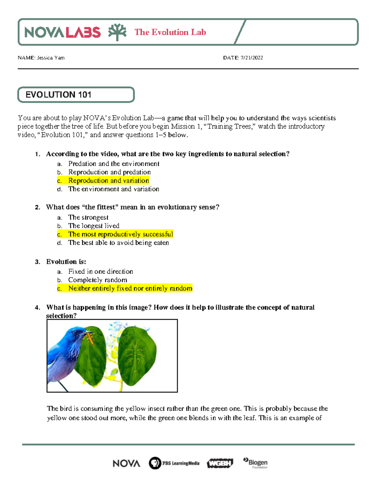 NOVA Evolution Lab Worksheet The Evolution Lab NAME Jessica Yam DATE 7 21 EVOLUTION 101 You 