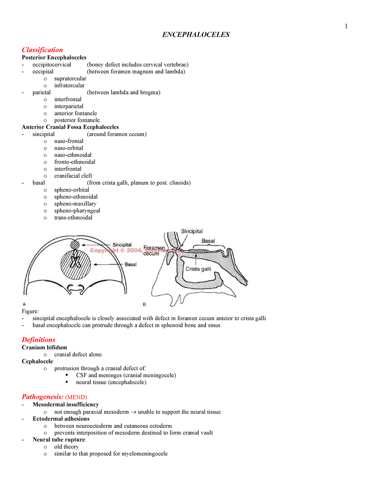 congenital-malformations-biology-studocu