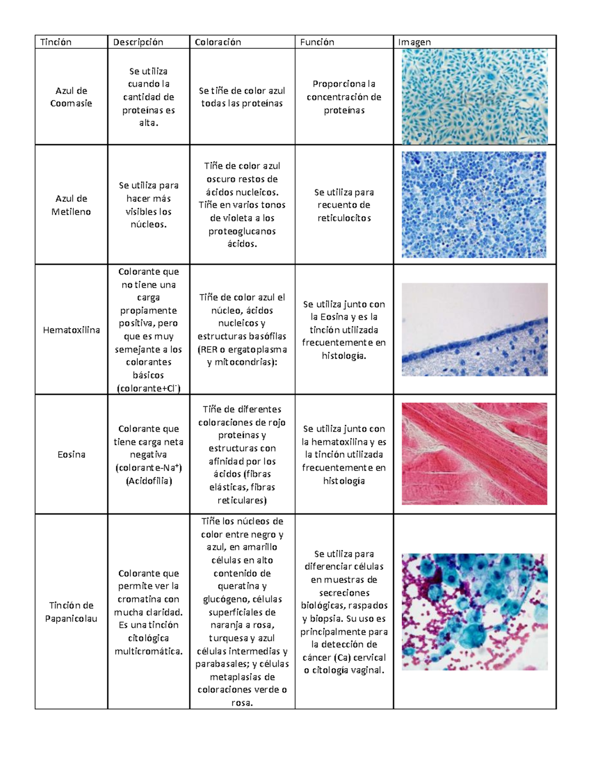 Tinciones - Tinción Descripción Coloración Función Imagen Azul De ...