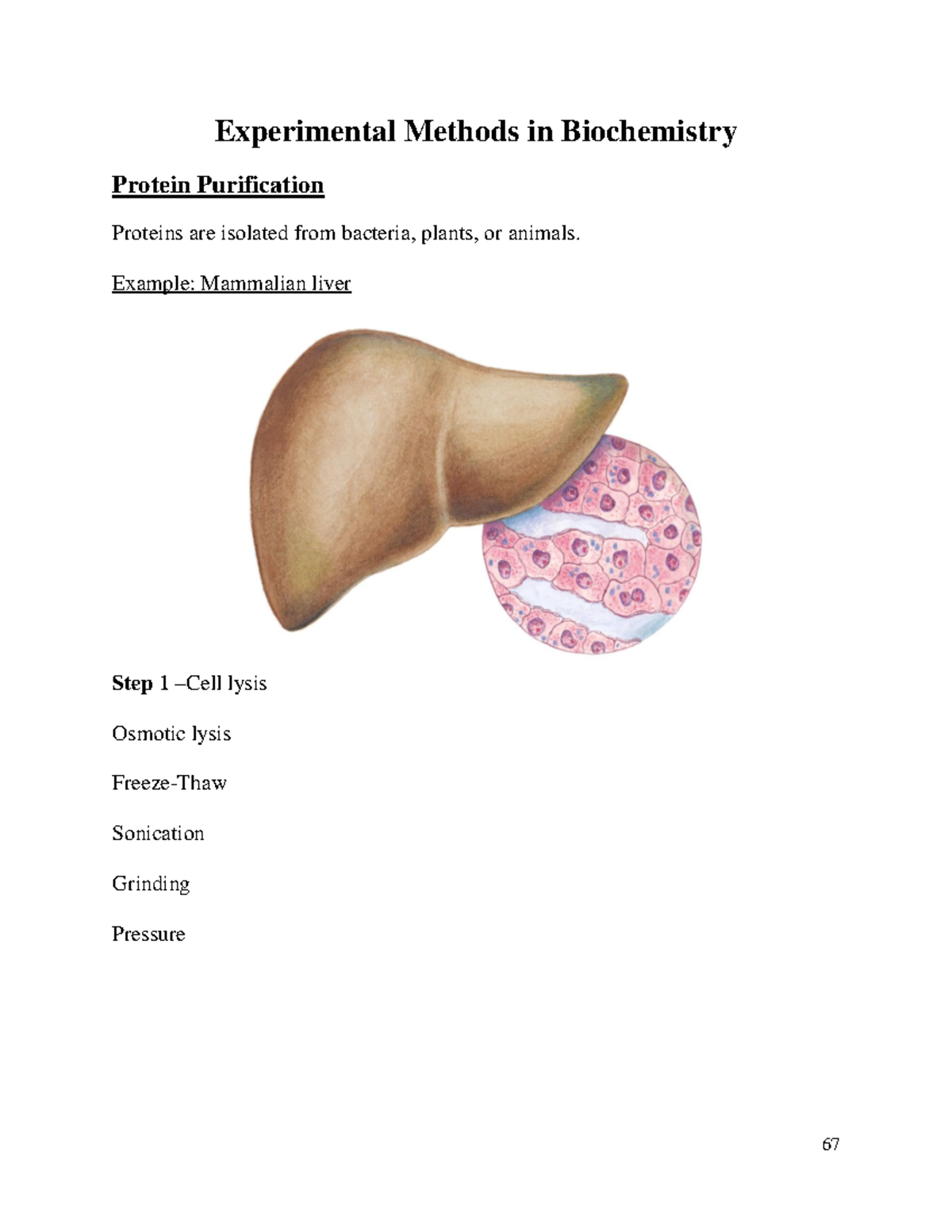 BIOL 4093 3. Experimental Methods In Biochemistry - Experimental ...