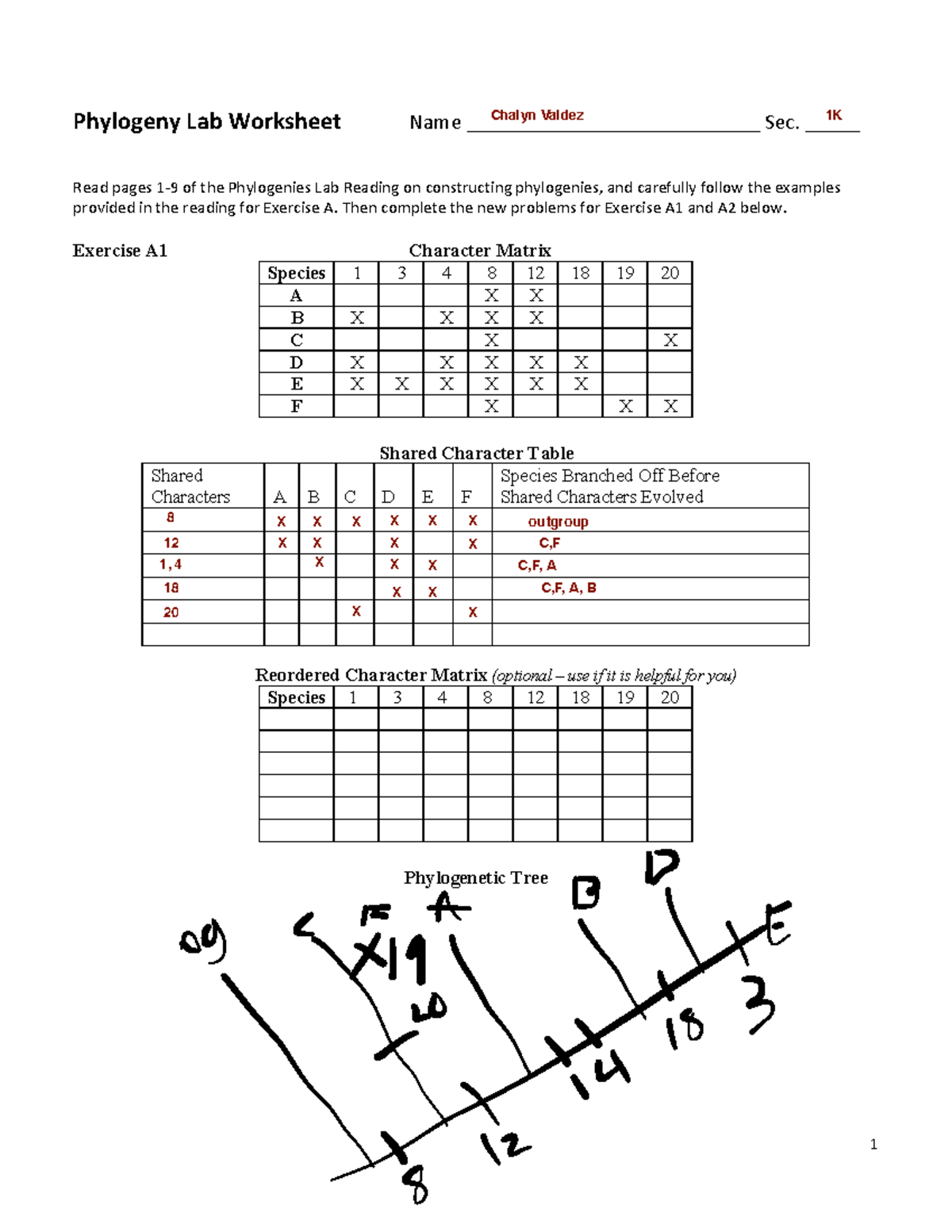 phylogeny-lab-worksheet-f20-1-phylogeny-lab-worksheet-name