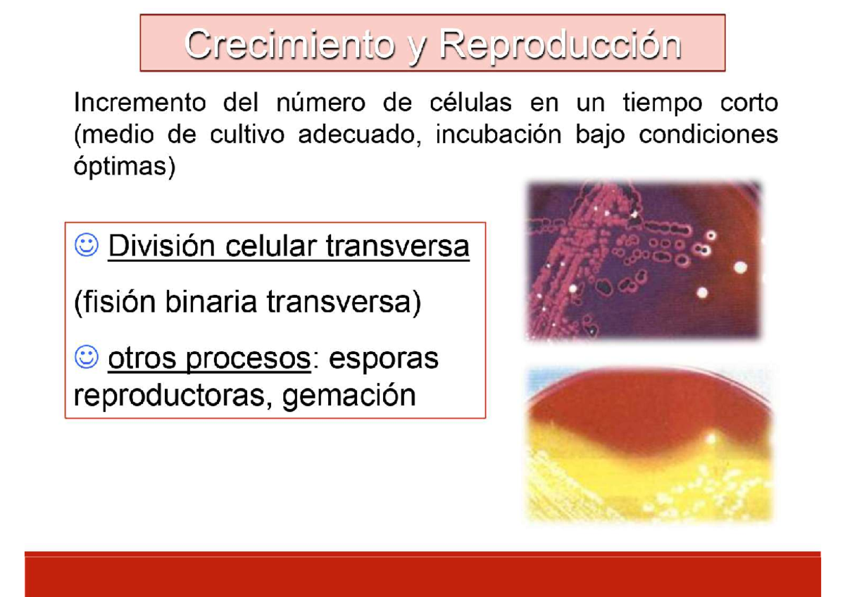 Clase 6. Crecimiento microbiano - Microbiologia - Studocu