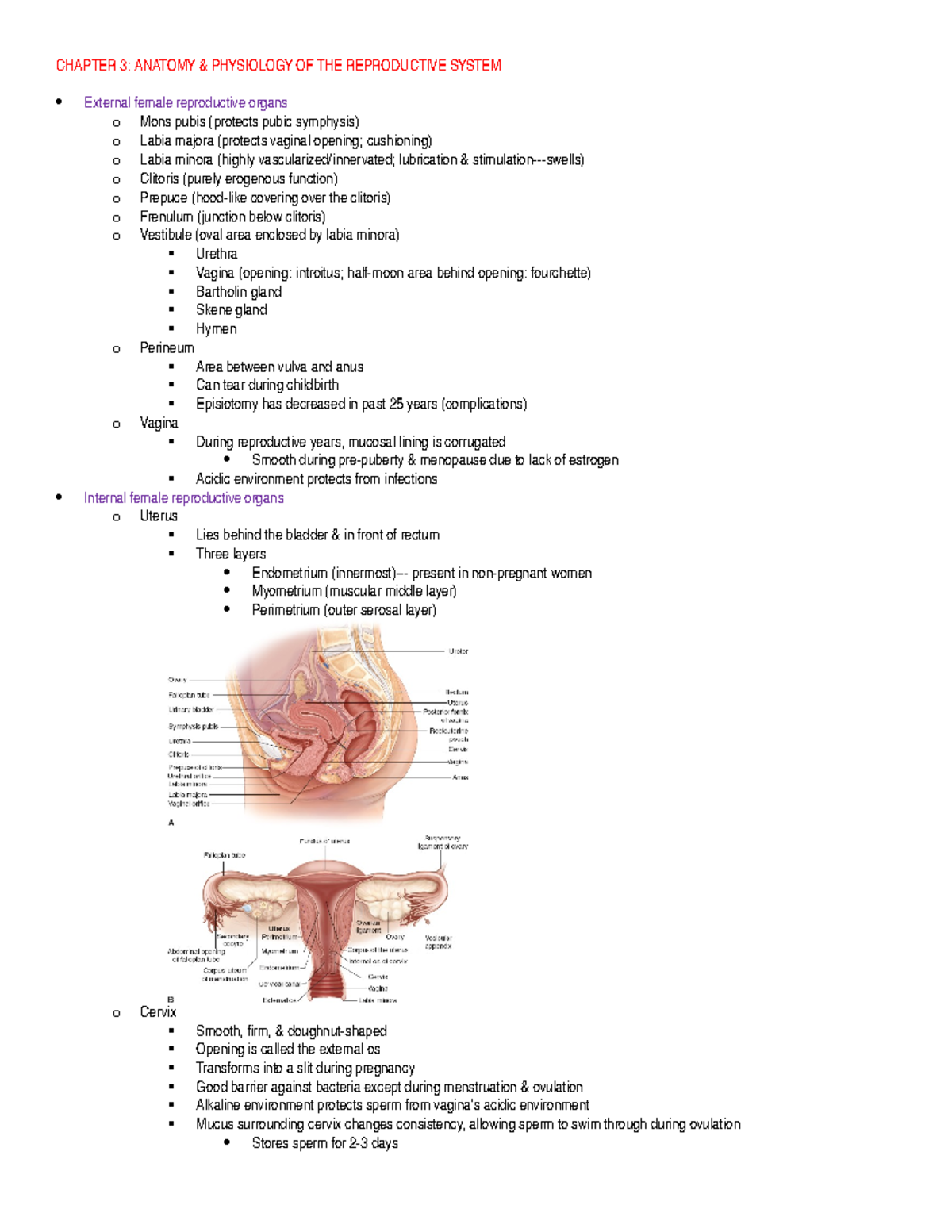 WEEK 1A 1B Notes - CHAPTER 3: ANATOMY & PHYSIOLOGY OF THE REPRODUCTIVE ...