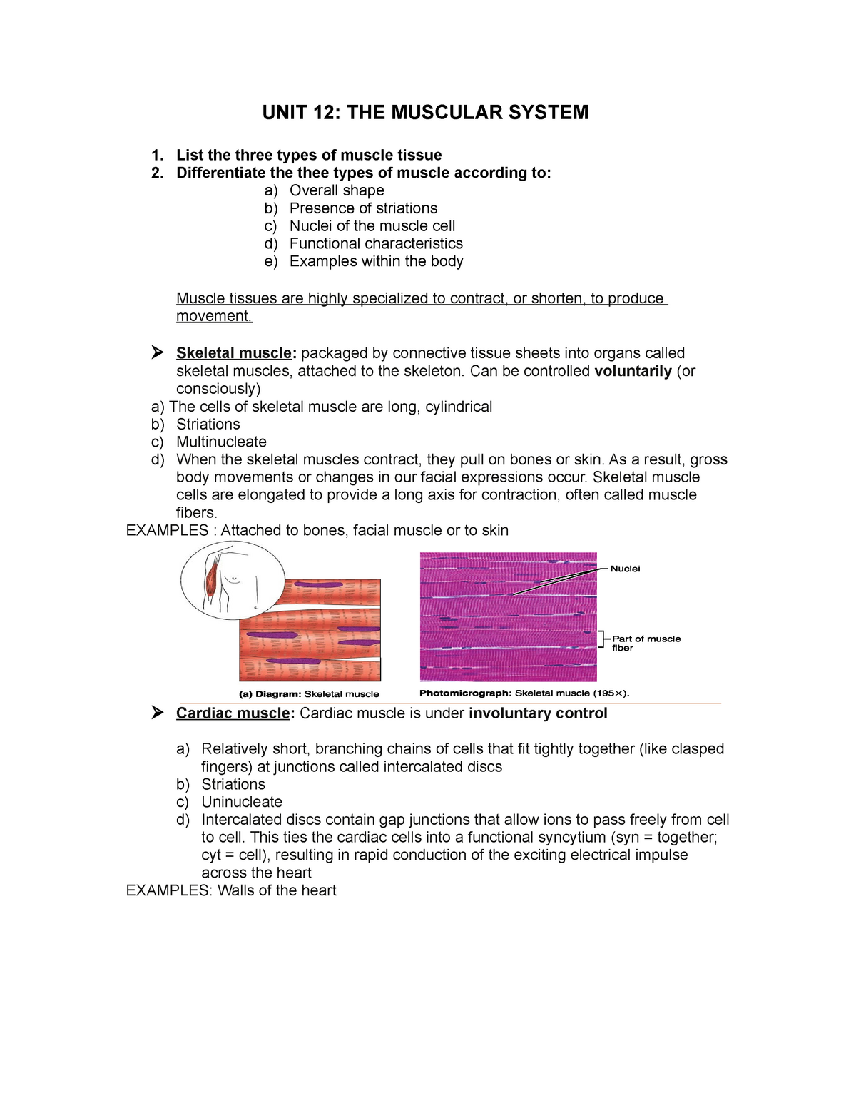 Unit 12 the Muscular System - UNIT 12: THE MUSCULAR SYSTEM 1. List the ...