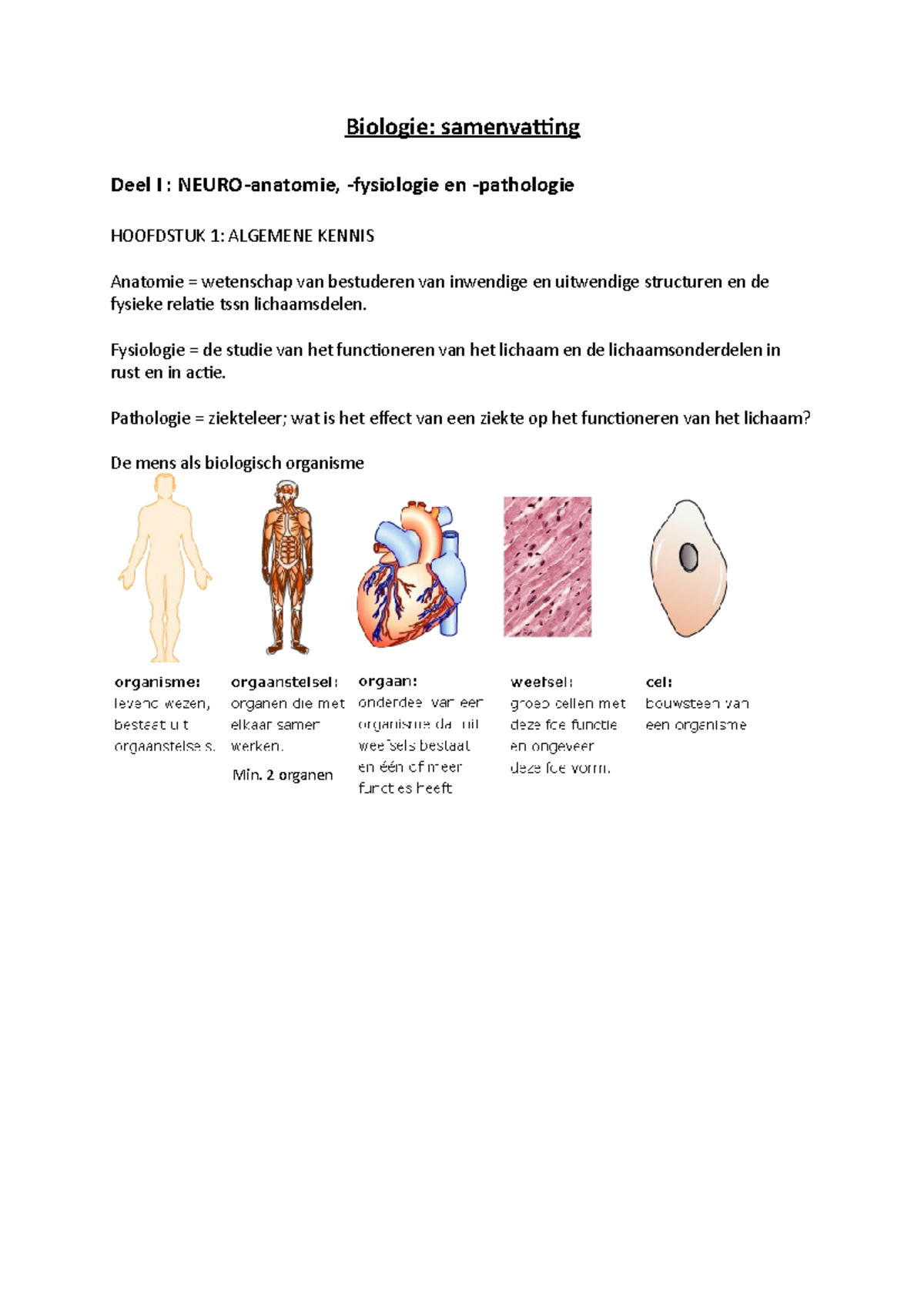 Biologie - Neuroanatomie - Zenuwstelsel - Biologie: Samenvatting Deel I ...