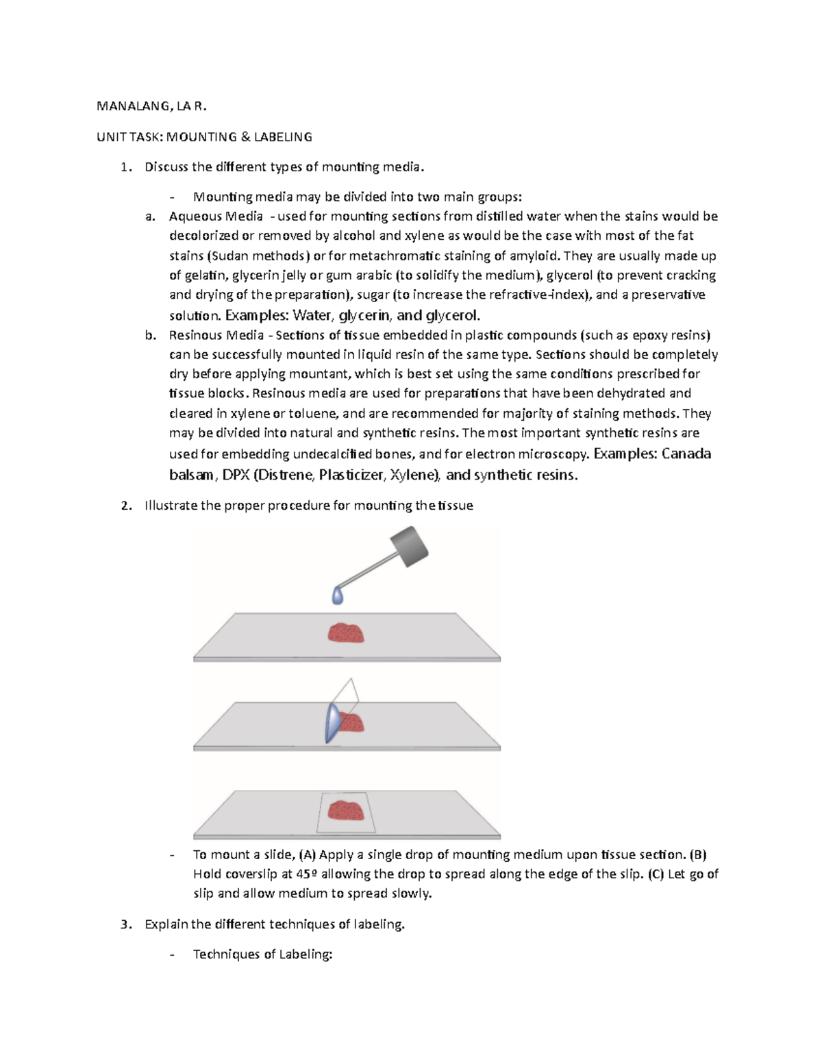 UNIT TASK Mounting and Labelling MANALANG, LA R. UNIT TASK MOUNTING