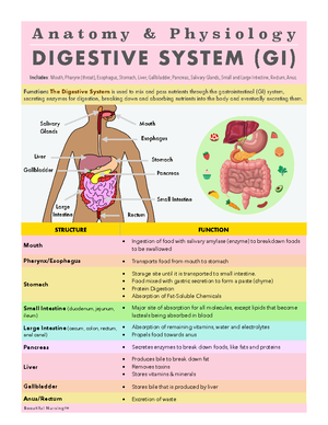 GI Nursing Notes - GASTROINTESTINAL SYSTEM OVERVIEW ...