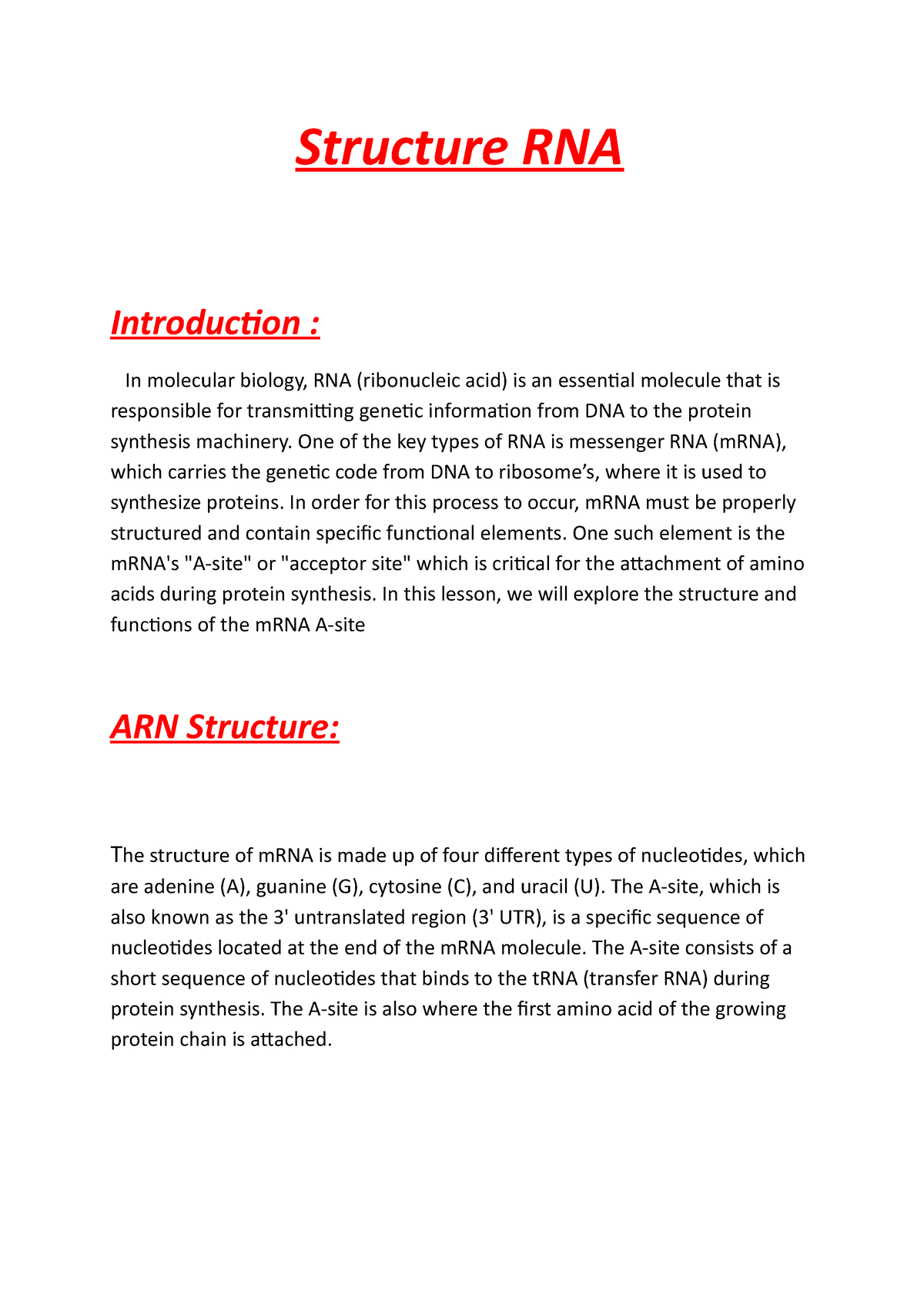 dna and rna essay