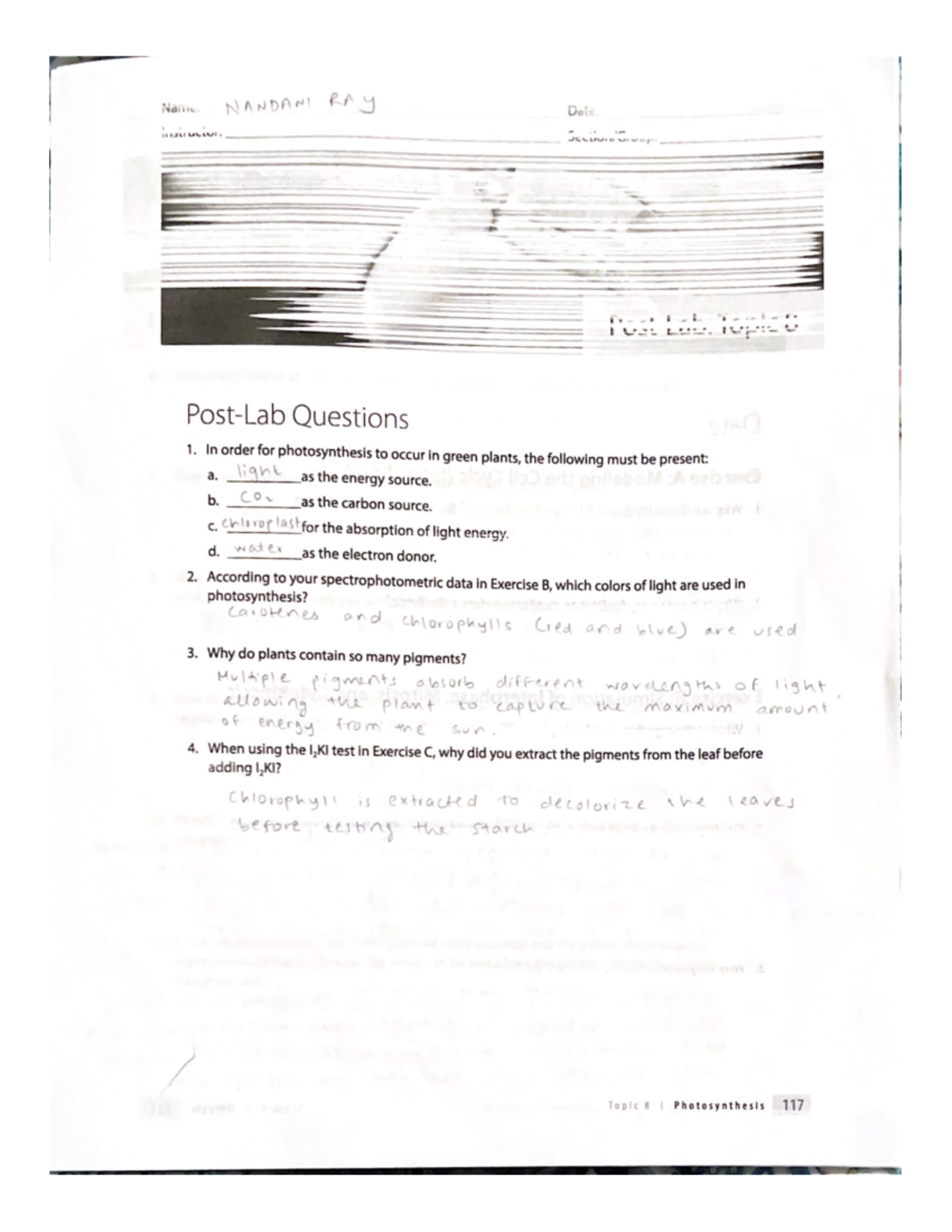 PostLab Questions By 123 BY 123L Studocu