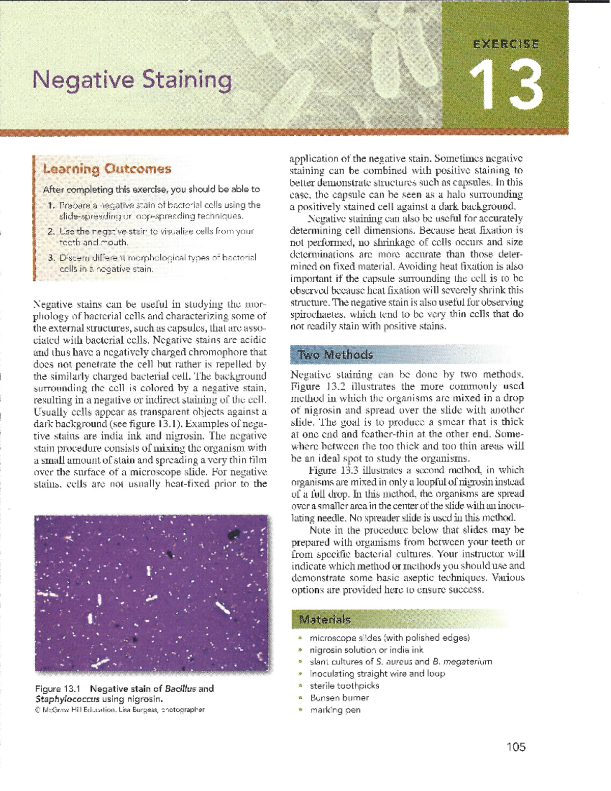 Negative Staining - Sometimes negative Learning Outcomes staining can ...