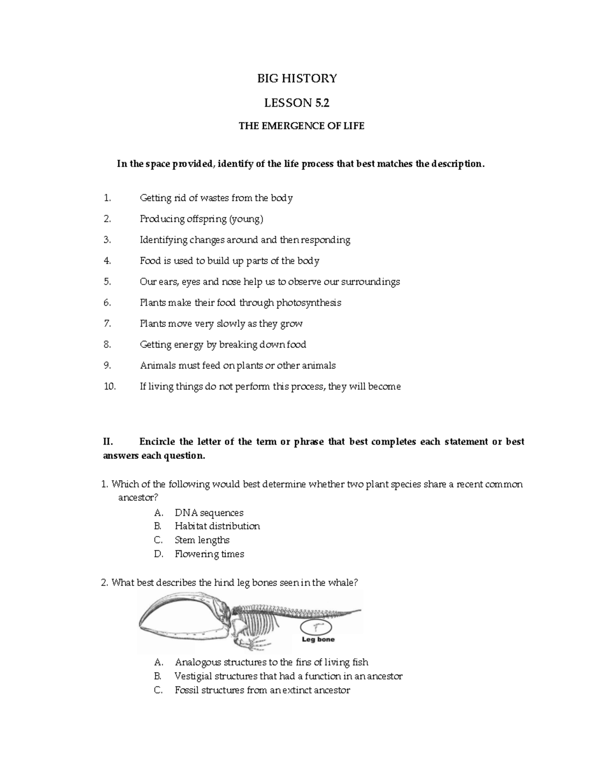 Big History - Lesson 5 Activity - Big History Lesson 5. The Emergence 