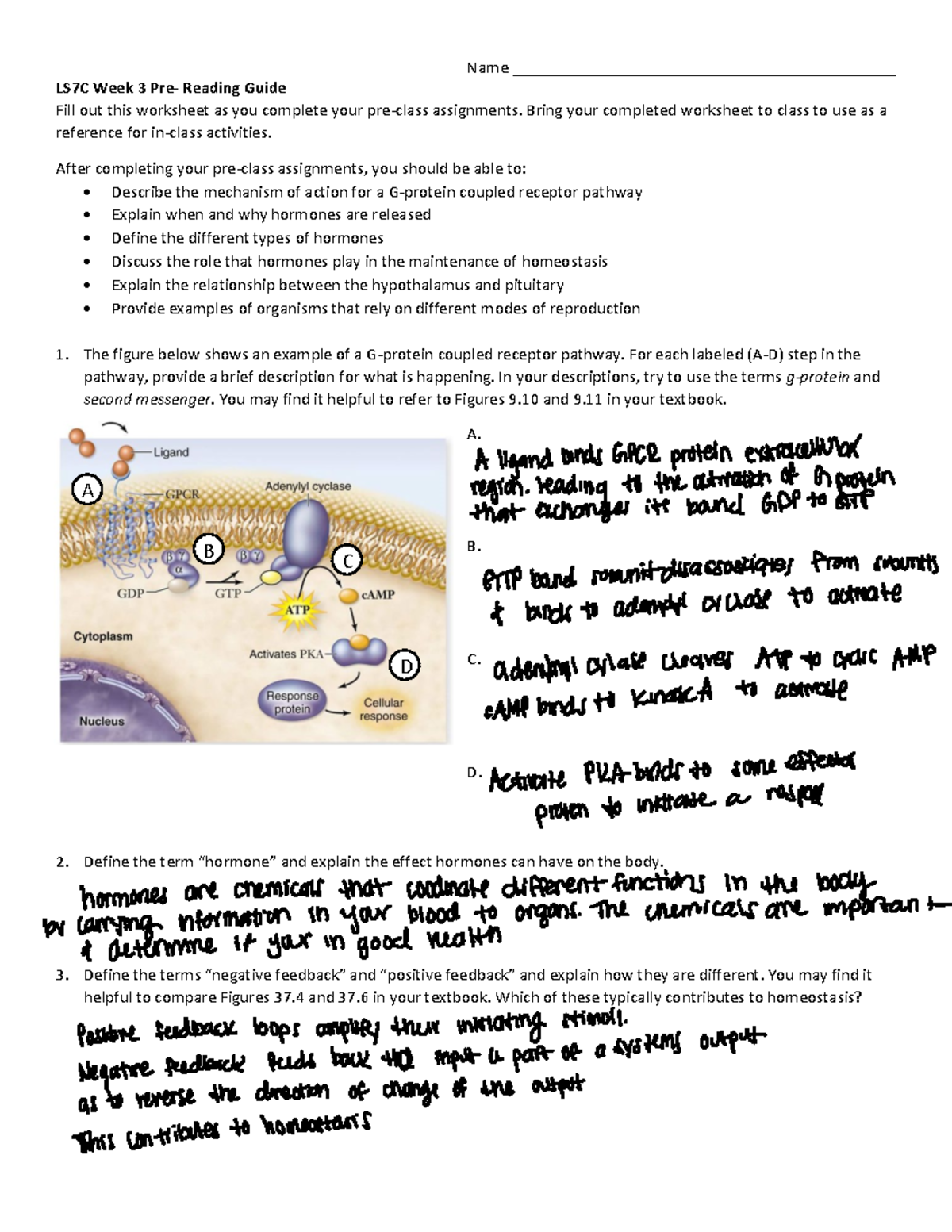 LS7C+Week+3+Pre-Class+Worksheet - Name ...