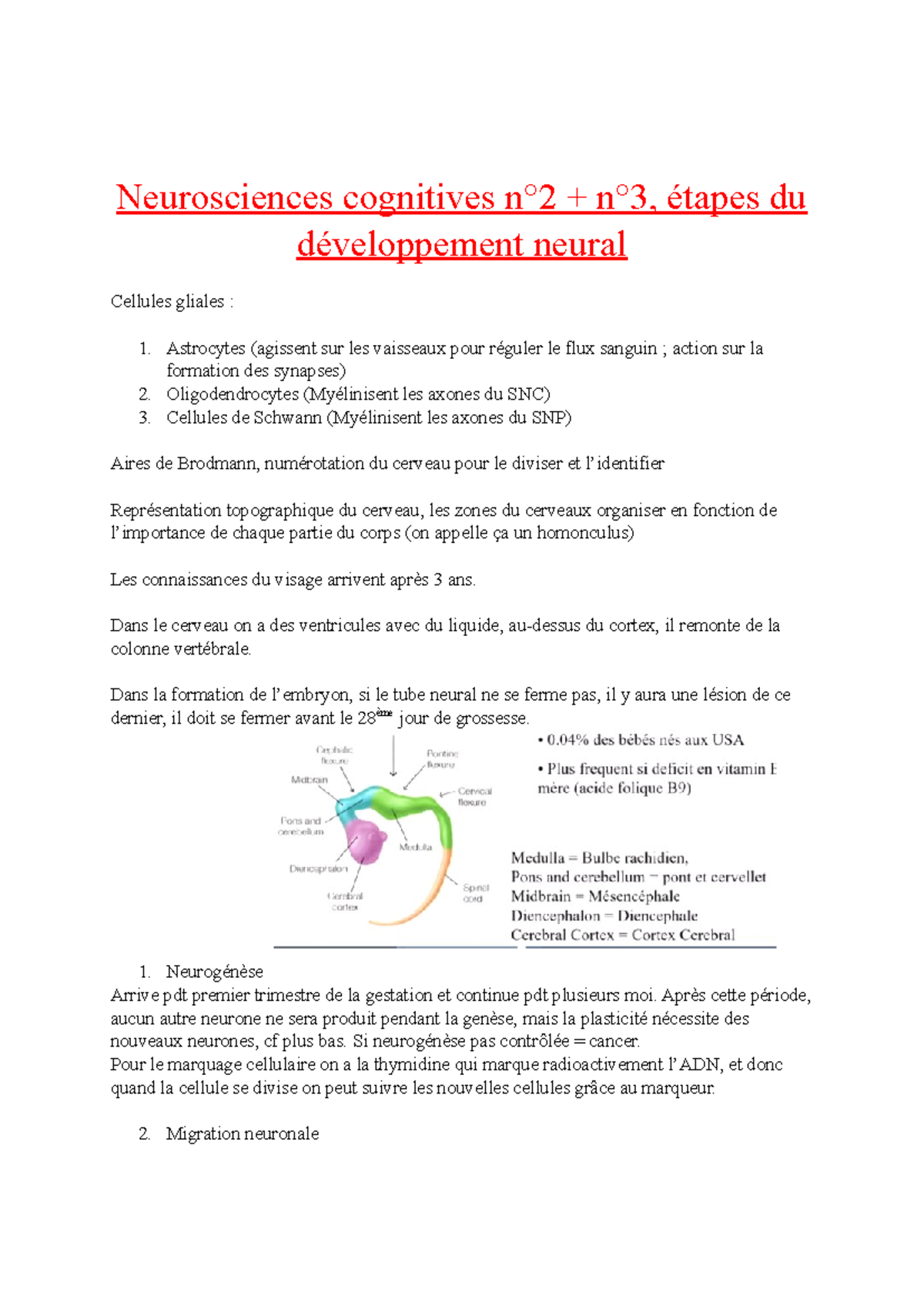 Neurosciences cognitives n°2 + n°3, étapes du développement neural ...