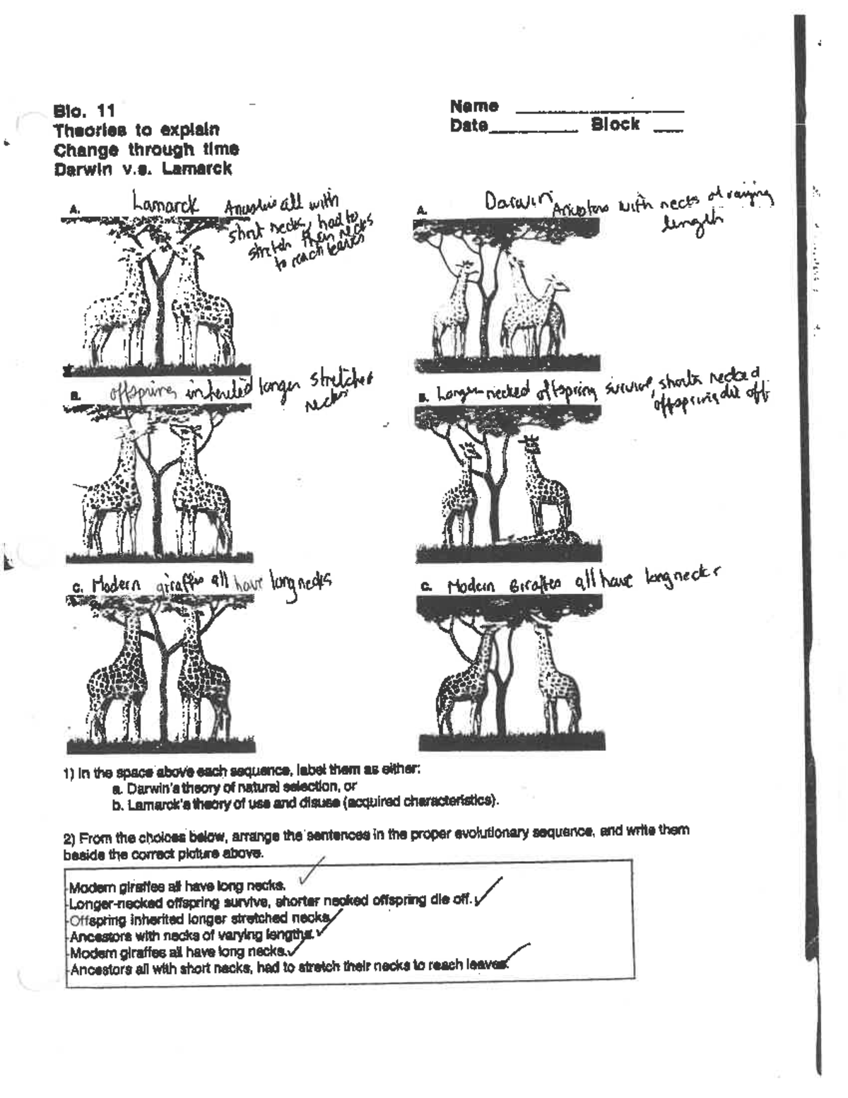 Giraffe WS 2023 (answers) - Studocu