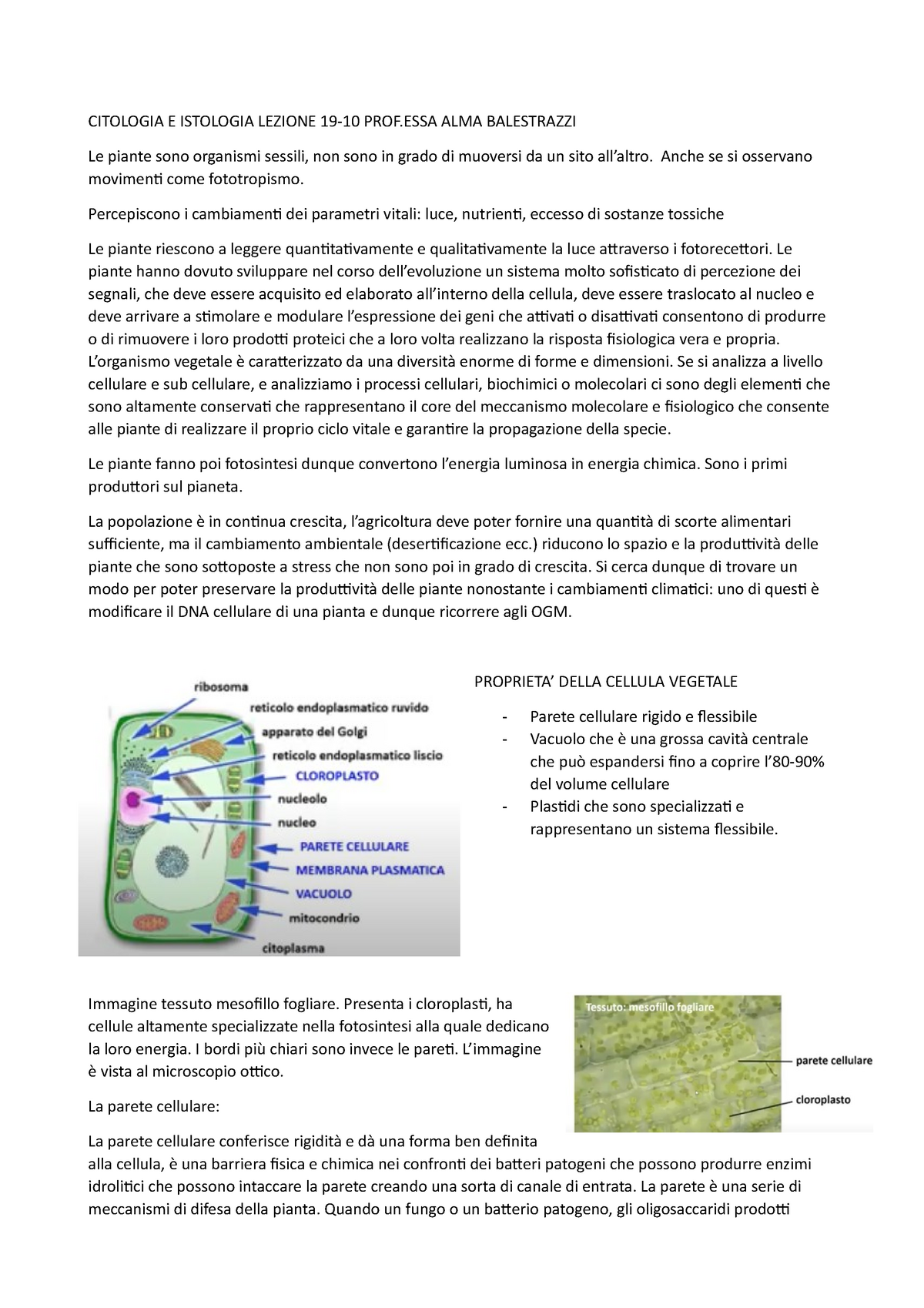 Citologia E Istologia Alma Balestrazzi 19-10 - Chimica Organica - UniPv ...