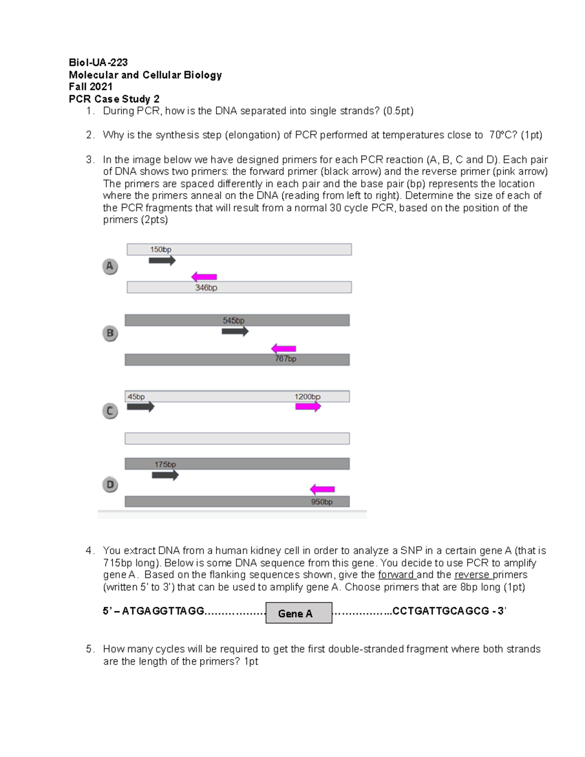 PCR Case Study 2 BiolUA Molecular and Cellular Biology Fall 2021