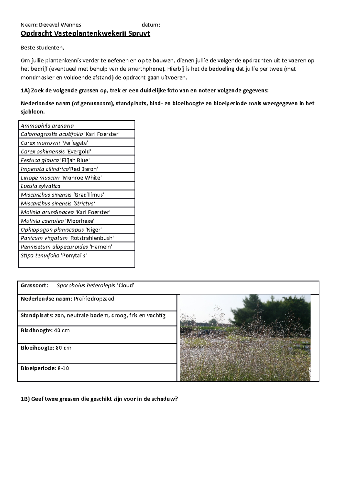 Opdracht Vasteplantenkwekerij Spruyt - Hierbij is het de bedoeling dat ...
